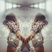 Review: Tilia - Focus